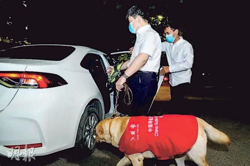 滴滴在深圳等地推出盲人網約車服務，司機不得拒載導盲犬。（網上圖片）