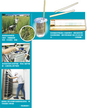 野草製飲管 方便兼環保