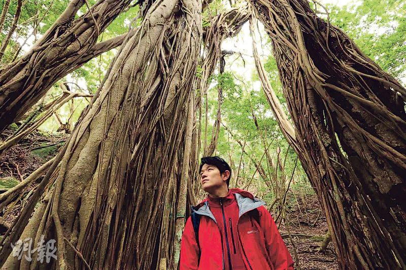 鈴木亮平到屋久島拍攝最新一輯《世界遺產》，相比其他主持僅「聲音導航」，吸引力大增。