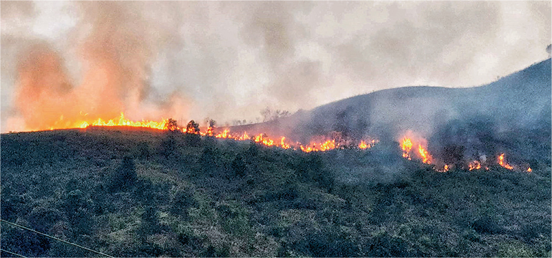 元朗十八鄉崇山新村對開昨午發生山火，火線一度長達300米。