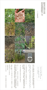 圖文城市：野草記得自由 即使被拔除千次——ChatGPT