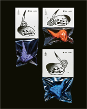 亚洲包装设计界首次大聚会：探索多变市场中的创新与突破，打破常规引领潮流