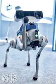 廣用創新科技 秉持簡約綠色辦賽