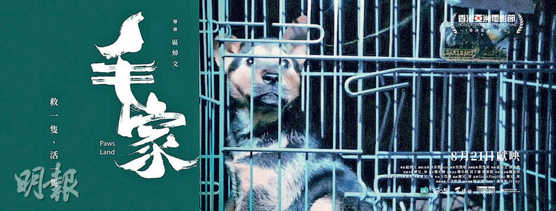 【娛樂場】紀錄片《毛家》拯救流浪動物 呈現「生命平等」信念