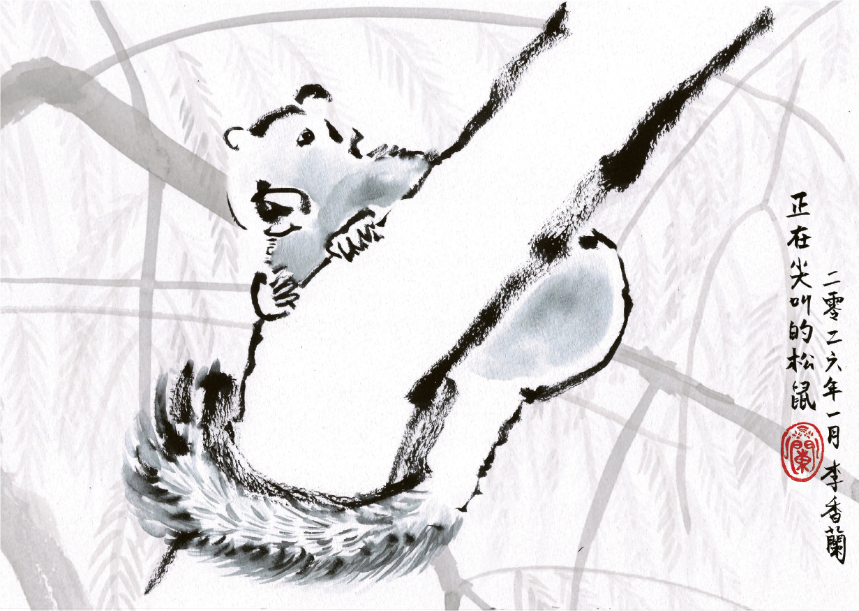 寫生看世界：#19：十年磨一劍的松鼠- 20260118 - 副刊- 每日明報- 明報新聞網