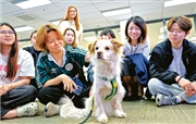 【Emily】「治療犬」入恒生大學 助學生試前鬆一鬆
