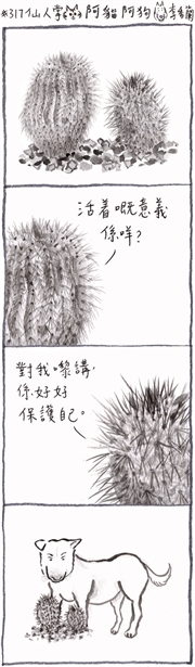 阿貓阿狗：#317 仙人掌
