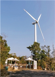 未來城市：本地發展+外購綠電 雙軌並行助能源轉型