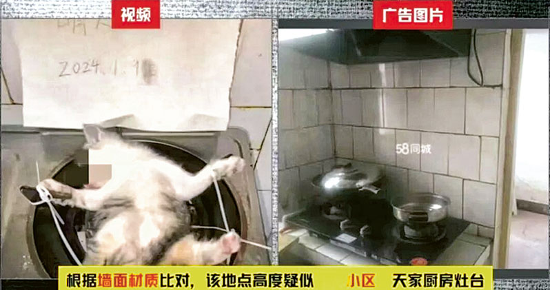 https://fs.mingpao.com/pns/20260427/s00053/e0d146238ed5447a9dd6634351ea267b.jpg