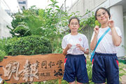 學生回應：葉子可止痕 草藥帶回家悉心照料