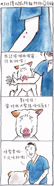 阿貓阿狗：#325 護士