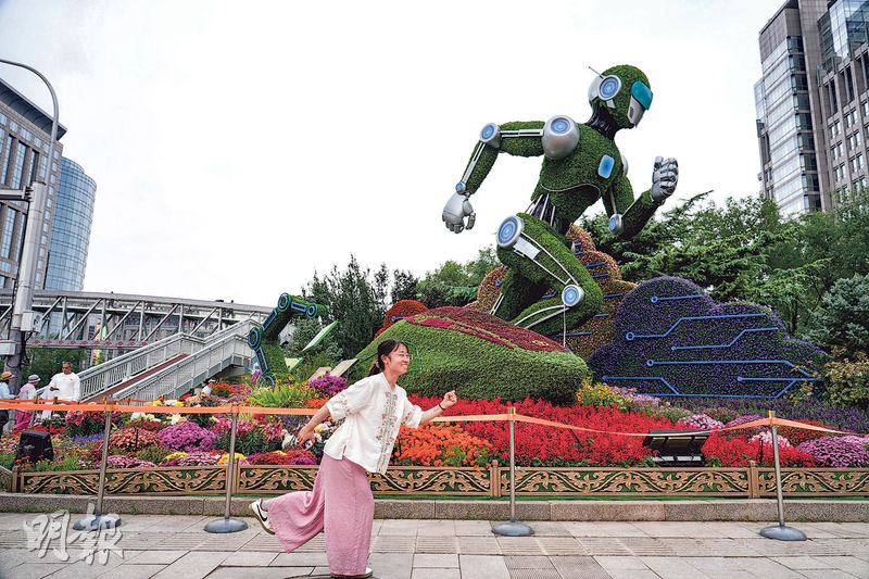 ��������������  ����10�����廨̳